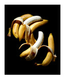 40" x 50" image