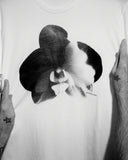 Orchid on White