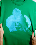 Limelight Orchid
