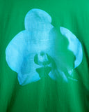 Limelight Orchid