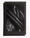 Sensory Seeker Eau de Parfum