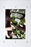 The Great Outdoors (MOSS)