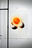 broken egg