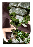 40" x 60" image