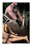 40" x 60" image