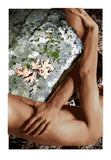 40" x 60" image